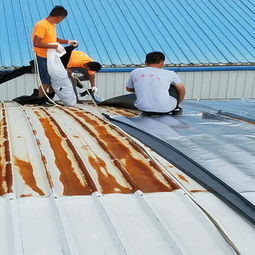 pet自粘防水卷材,德陽自粘,榮靖 查看